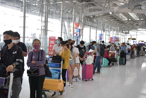 Более 340 вьетнамских граждан вернулись домои из Таиланда hinh anh 1