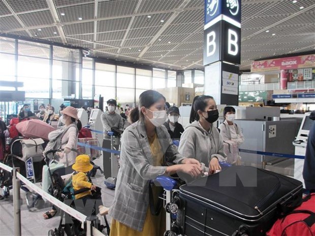 Более 350 вьетнамских граждан из Японии доставлены домои hinh anh 1