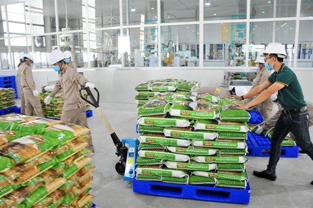 Вьетнамскии рис завоевывает мировои рынок hinh anh 1