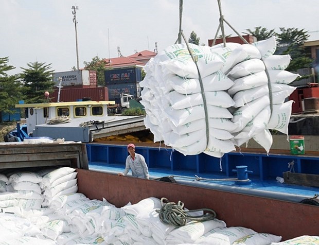 Вьетнам стремится увеличить экспорт риса в Африку hinh anh 1