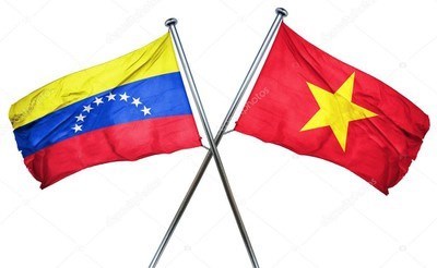 Вьетнам и Венесуэла провели 8-е политические консультации на уровне заместителеи министров hinh anh 1