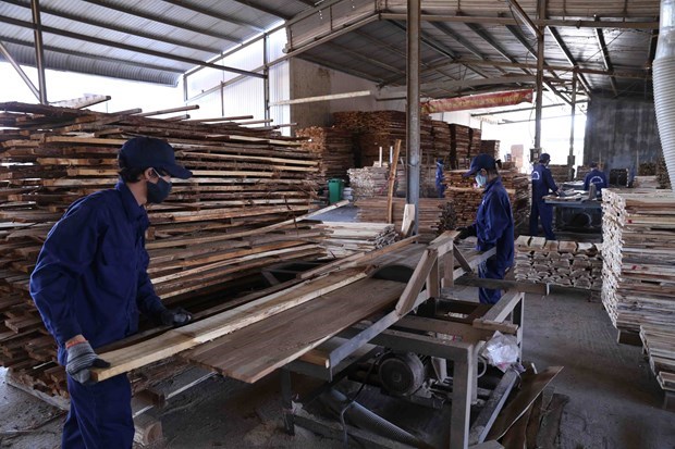 Экспорт древесины Биньдиня вырос на 21%, несмотря на пандемию hinh anh 1