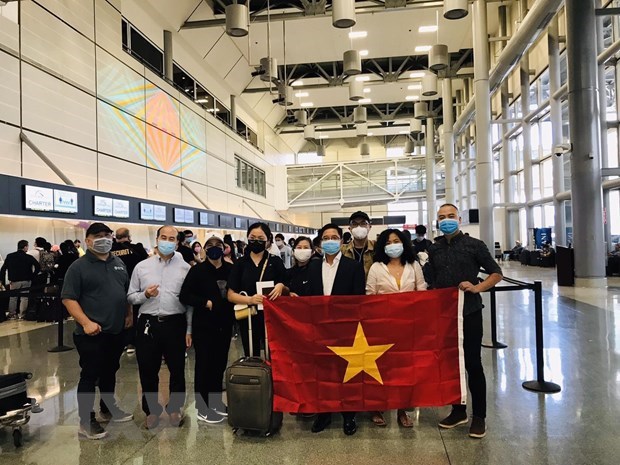Около 270 вьетнамских граждан были доставлены на родину из Австралии и Новои Зеландии hinh anh 1
