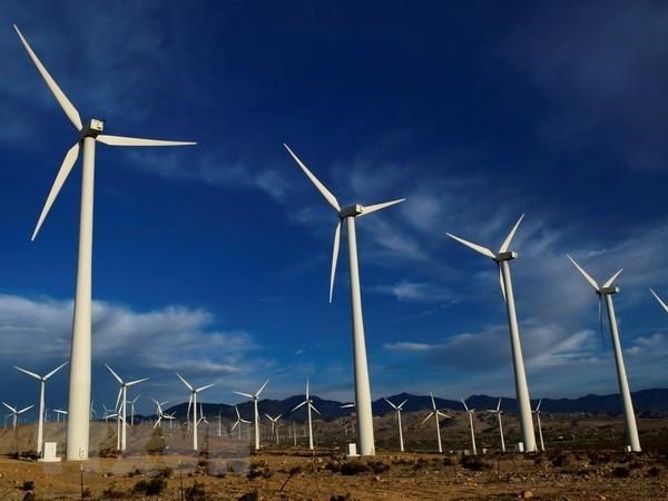 GWEC призывает Вьетнам расширить тарифы на энергию ветра hinh anh 1