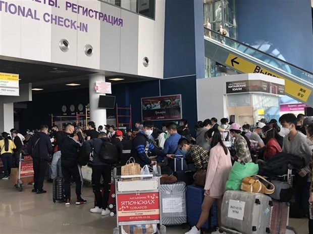 Более 270 граждан Вьетнама вернулись из России hinh anh 1
