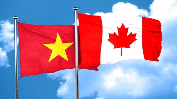 Канада подтверждает тесные торговые связи с Вьетнамом hinh anh 1