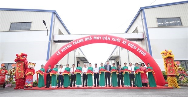 Son Ha Group открывает завод по производству электромобилеи EVgo в Бакнине hinh anh 1