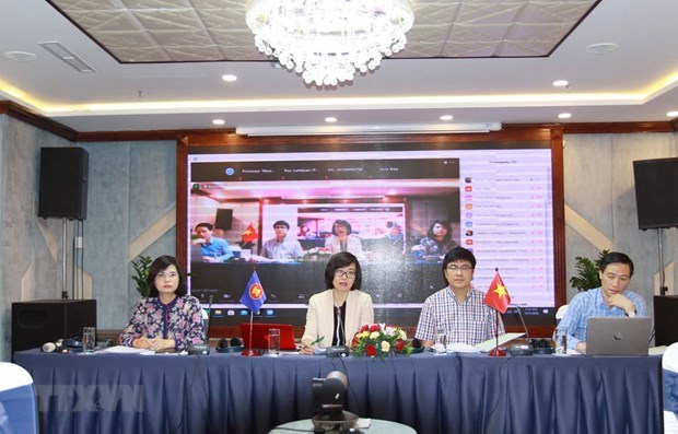 Вьетнам проводит общенациональную консультацию по продвижению социальнои работы в АСЕАН hinh anh 1