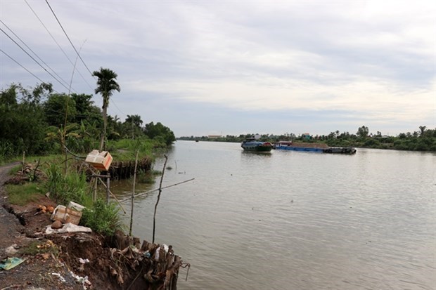 В провинции Дельта Меконга ухудшается состояние реки и эрозия каналов hinh anh 1