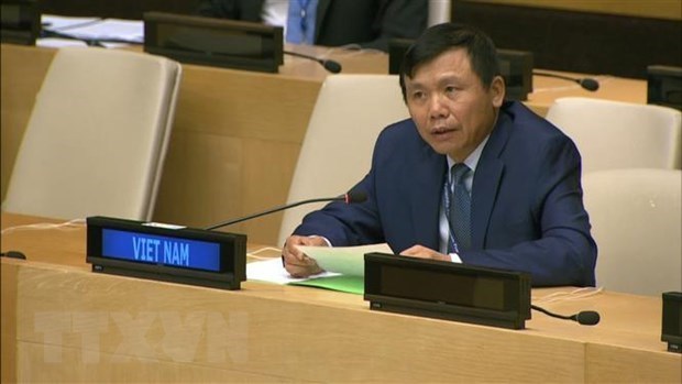 Вьетнам и Индонезия призывают к комплексному подходу к проблемам в Мали hinh anh 1
