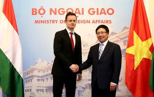 Министр иностранных дел Венгрии посетит Вьетнам hinh anh 1
