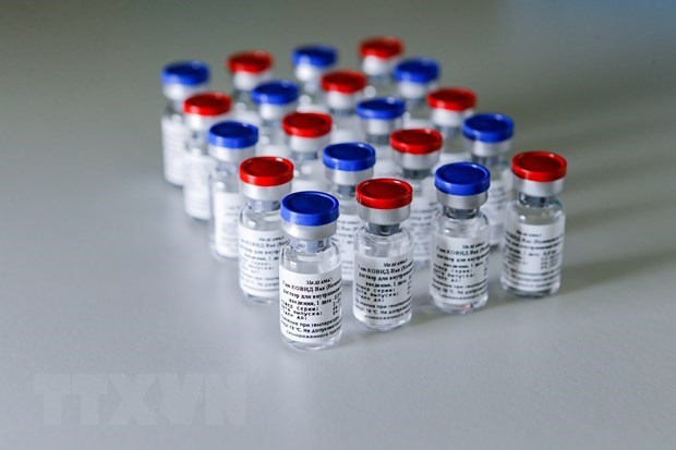 МИД: Вьетнам заказал вакцины против COVID-19 у зарубежных партнеров hinh anh 1