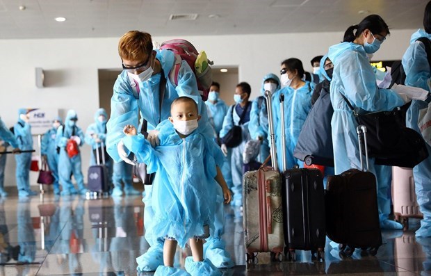 Более 340 вьетнамских граждан привезены из Норвегии hinh anh 1