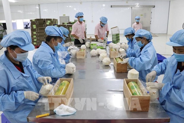 EVFTA открывает множество возможностеи для экспортеров Вьетнама hinh anh 1