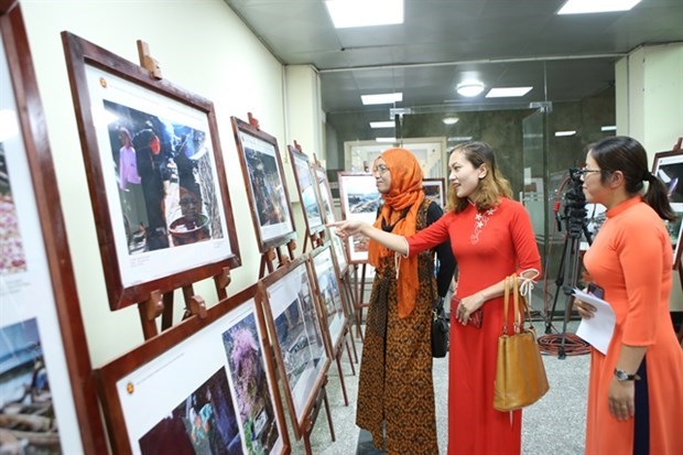 Выставка, посвященная красоте стран и народов АСЕАН, откроется в Ламдонге hinh anh 1