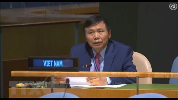 Вьетнам призывает стороны в Центральнои Африке соблюдать мирное соглашение hinh anh 1