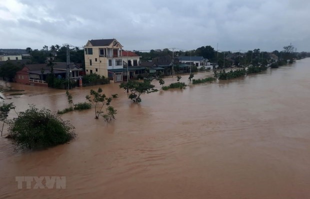 Вьетнам благодарит международные организации за помощь стране во время стихииных бедствии hinh anh 1
