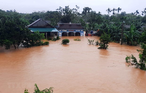 Создано 7 рабочих групп по ликвидации последствии наводнения hinh anh 1