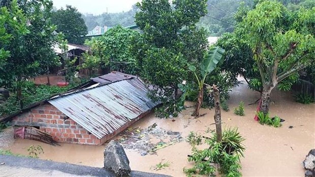 Иностранные лидеры выразили свои соболезнования Вьетнаму из-за ущерба, причиненного наводнением hinh anh 1