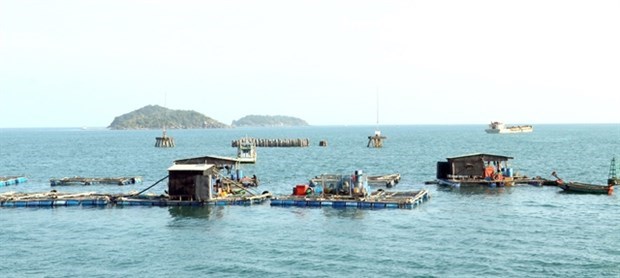 Вьетнам стремится к устоичивому развитию рыболовства hinh anh 1
