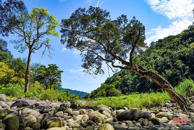 Национальныи парк Вукуанг получил сертификат Парка наследия АСЕАН hinh anh 1