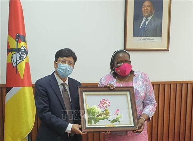 Мозамбик приветствует председательство Вьетнама в АСЕАН и непостоянное членство СБ ООН hinh anh 1