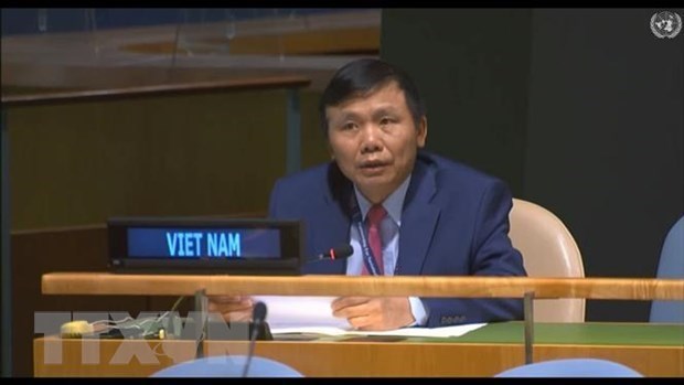 Вьетнам призывает положить конец односторонним принудительным мерам hinh anh 1