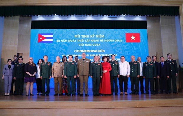 Вьетнам и Куба укрепляют сотрудничество в сфере обороны hinh anh 1