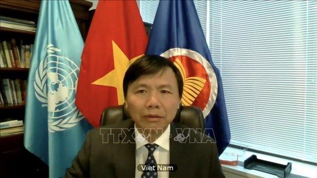 Вьетнам подвел итоги работы Комитета АСЕАН за 2020 год в Нью-Иорке hinh anh 1