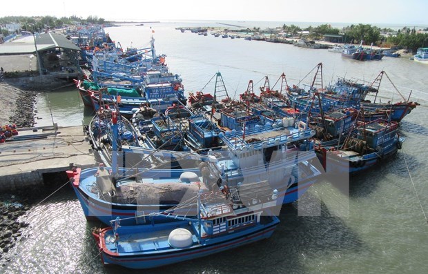 Конференция по борьбе с ННН промыслом: нехватка персонала вызывает проблемы при надзоре за рыболовными судами hinh anh 1