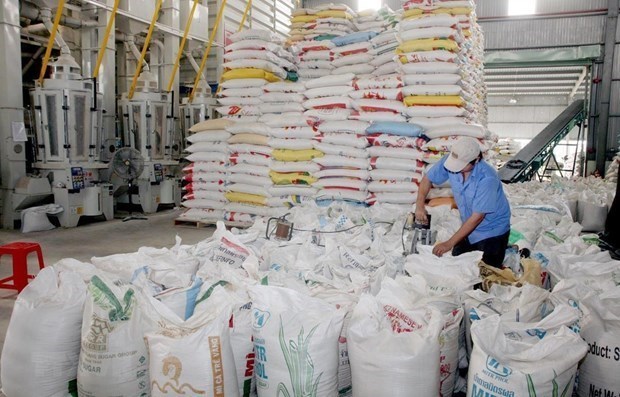Повышение качества риса способствует росту экспортных цен hinh anh 1