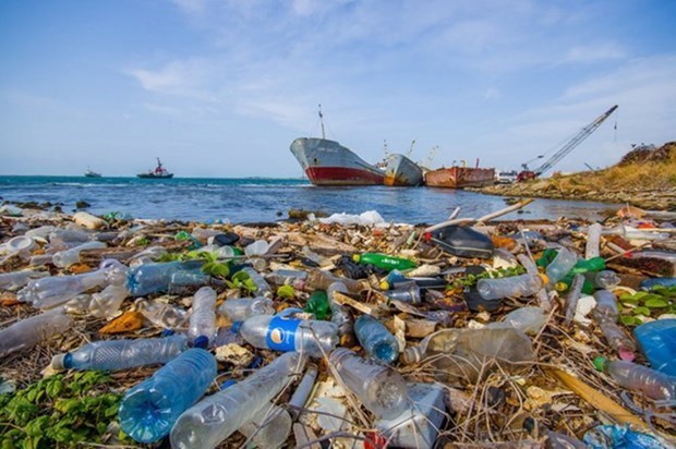 Обзор итогов кампании против пластиковых отходов hinh anh 1