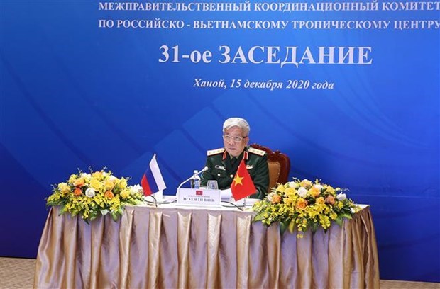 Координационныи комитет Вьетнамско-Россииского тропического центра провел 31-е заседание hinh anh 1
