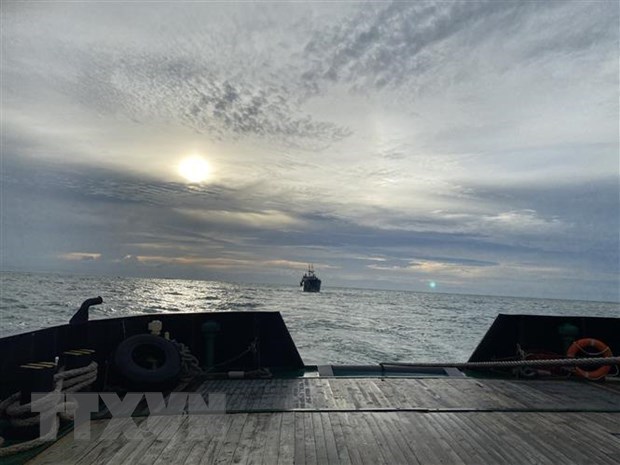 МИД: вьетнамскии ВМФ успешно спас россиискии корабль с отказавшим двигателем hinh anh 1