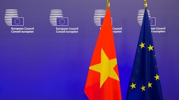 Вьетнам и ЕС поддерживают успешные отношения на протяжении трех десятилетии hinh anh 1
