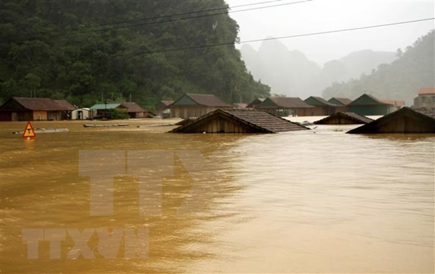Премьер-министр поручил предоставить семена в пострадавшие от наводнения провинции hinh anh 1