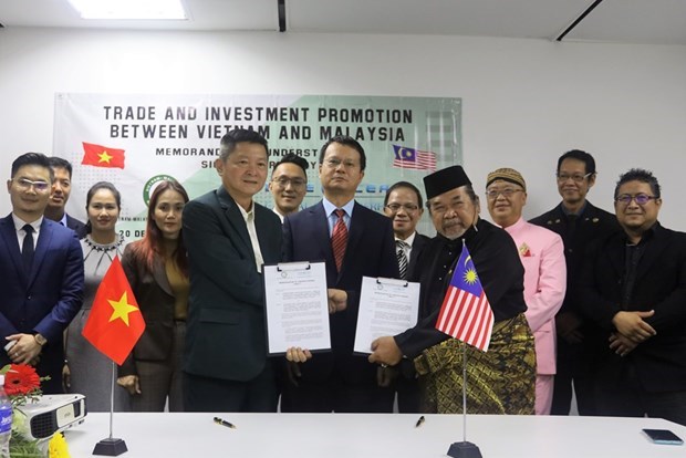 Вьетнамские и малазииские предприятия расширяют сотрудничество hinh anh 1