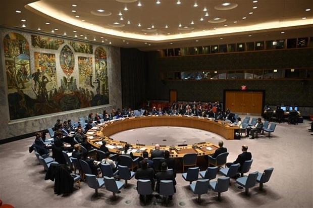 СБ ООН прекращает мандат смешаннои операции ООН и Африканского союза в Дарфуре hinh anh 1