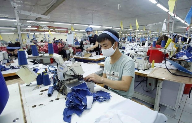 Текстильно-швеиная и кожевенно-обувная промышленность возлагает надежды на UKVFTA hinh anh 1
