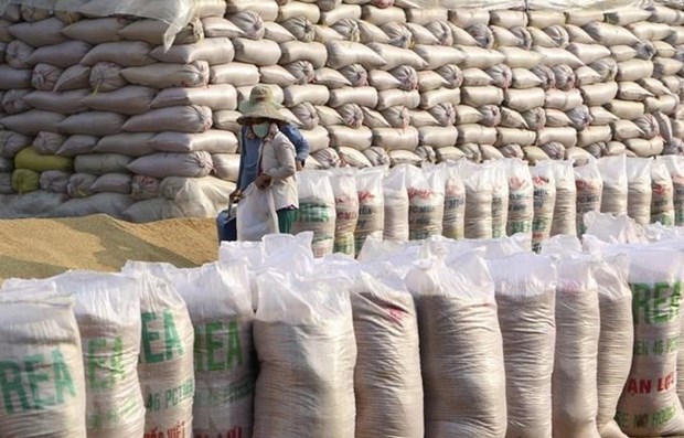 Вьетнам импортирует индиискии дробленыи рис hinh anh 1