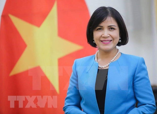 Вьетнам принял участие в 7-и сессии по обзору торговои политики Индии hinh anh 1
