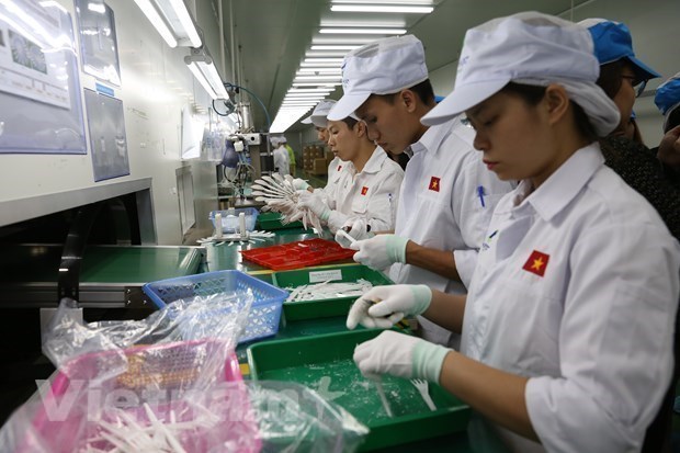 Рост вопреки пандемии: россииско-вьетнамское измерение hinh anh 1