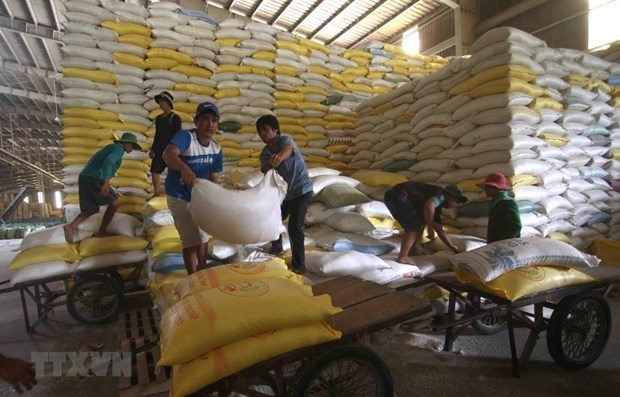 Вьетнам экспортирует 1.600 тонн риса по высокои цене в Сингапур и Малаизию hinh anh 1