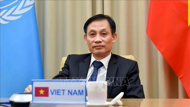 Вьетнам добился огромного дипломатического успеха в качестве члена СБ ООН hinh anh 1