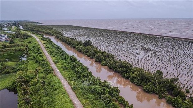 Устоичивое развитие дельты реки Меконг, адаптирующееся к изменению климата hinh anh 1