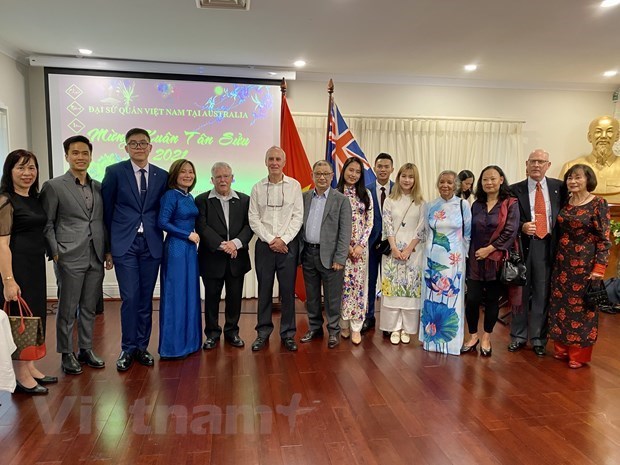 Дипломатические представительства Вьетнама во многих странах проводят встречи по случаю Тэт hinh anh 1