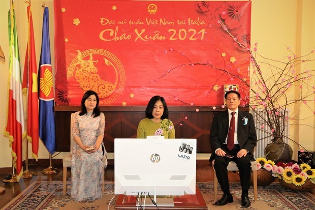 Дипломатические представительства Вьетнама во многих странах проводят встречи по случаю Тэт hinh anh 2