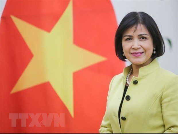 Вьетнам поддерживает роль Центра Юга в развитии сотрудничества между развивающимися странами hinh anh 1