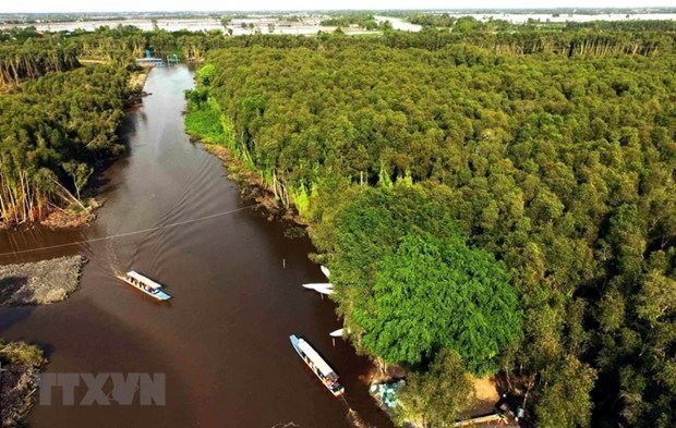 Новое планирование рассматривает изменение климата как возможность для дельты Меконга hinh anh 1
