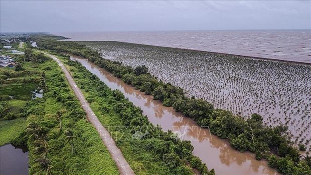 Новое планирование рассматривает изменение климата как возможность для дельты Меконга hinh anh 2